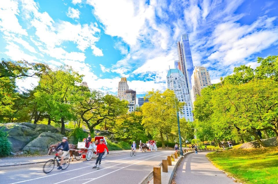 De bedste cykelture i Central Park 2026