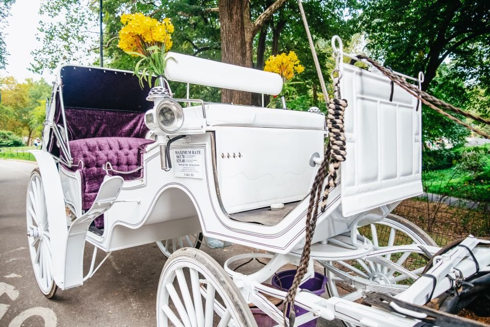 La meilleure promenade à cheval dans Central Park en 2026