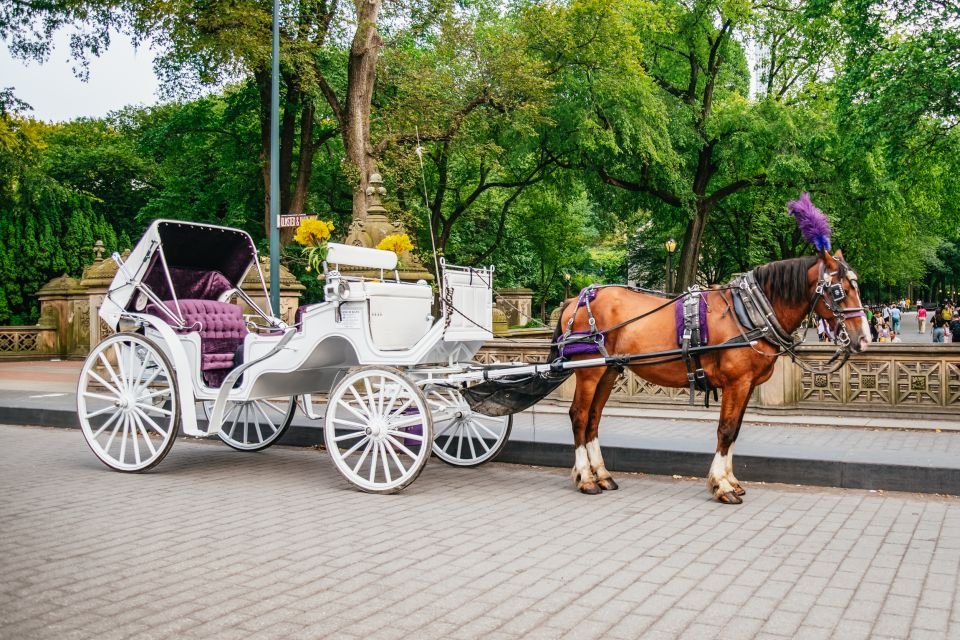 La meilleure promenade à cheval dans Central Park en 2026