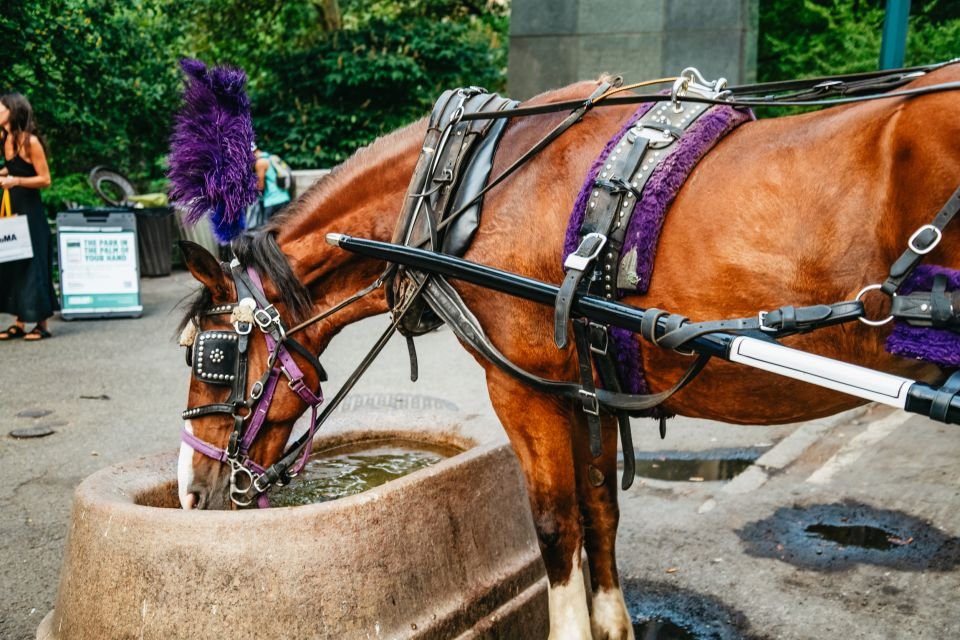 La meilleure promenade à cheval dans Central Park en 2026