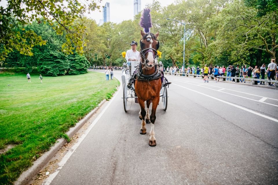 La meilleure promenade à cheval dans Central Park en 2026