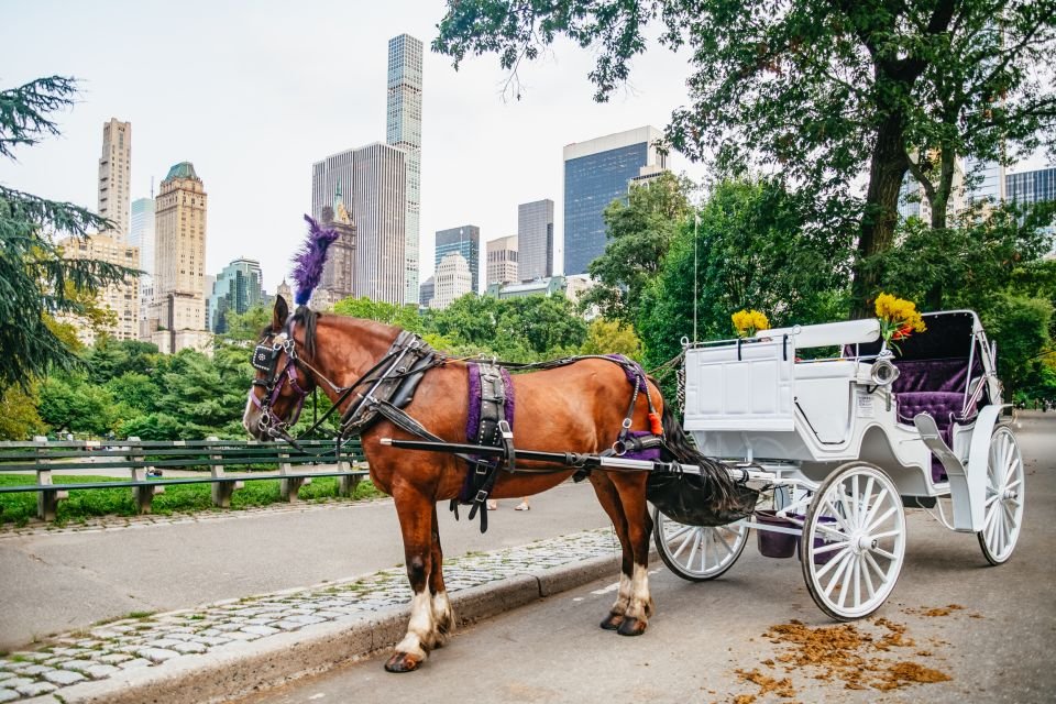 La meilleure promenade à cheval dans Central Park en 2026